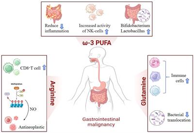 Current research and future prospects of immunonutrition in gastrointestinal malignancies